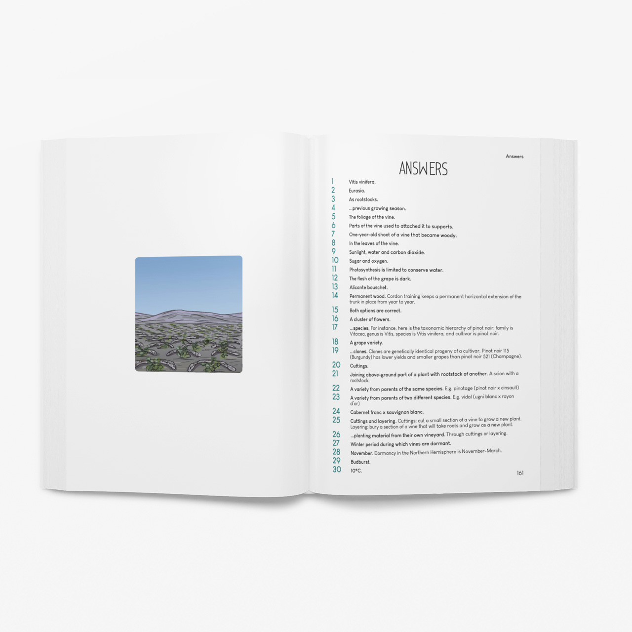 Wine Quiz Workbook by Amble Wine - Image 5