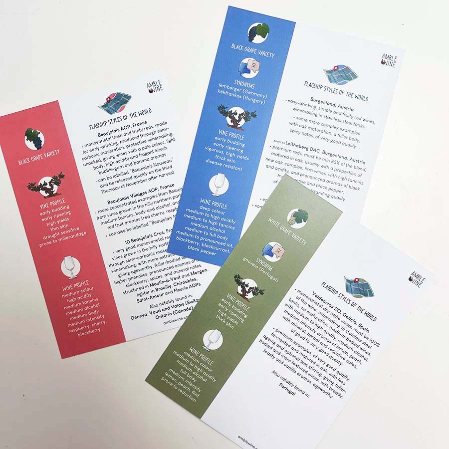 Grape Variety Flashcards by Amble Wine - Image 3