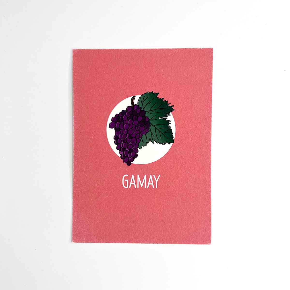 Grape Variety Flashcards by Amble Wine - Image 6